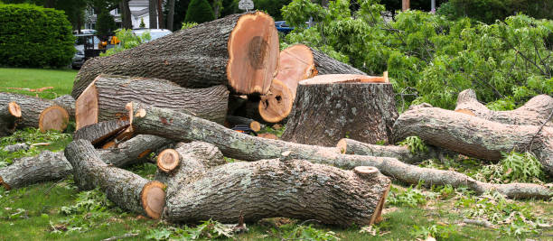 Best Firewood Processing and Delivery  in Pepper Pike, OH